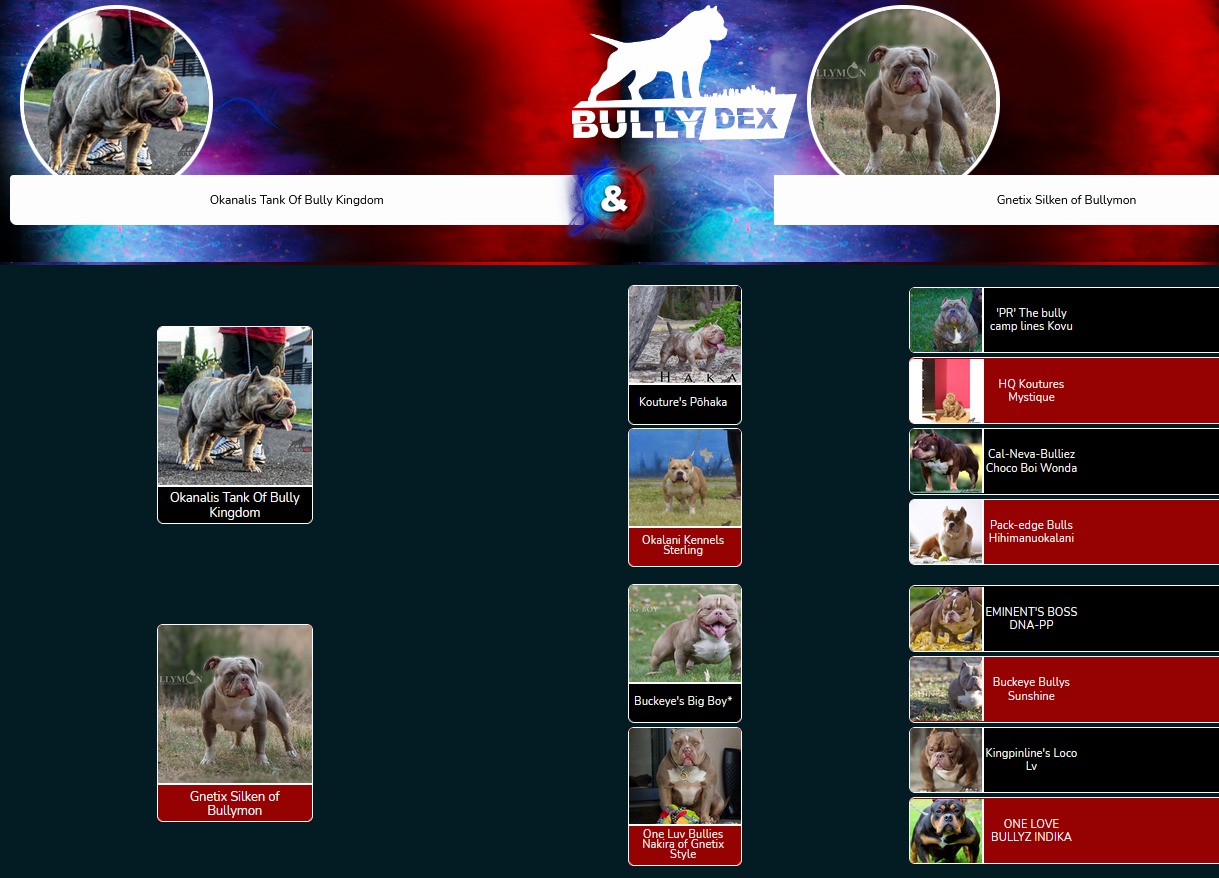 The Complete Bully Dog Breed List: 35 Competitors for Your Love - TomKings  Kennel